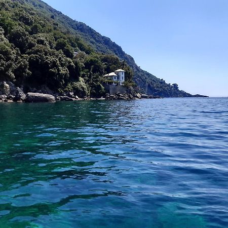 Villa Albachiara Camogli Exterior foto